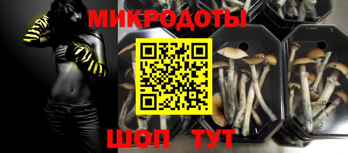 Карпинск  Галлюциногенные грибы Psilocybine cubensis  Вход с VPN  Псилоцибиновые грибы мухоморы 